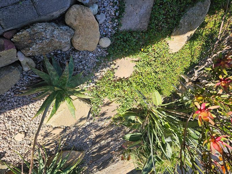 2 Bedroom Property for Sale in Paradise Coast Western Cape